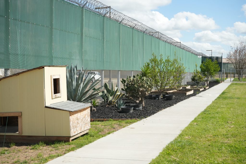 Community Garden