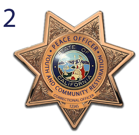 This design was preferred by 57 percent of sworn personnel who voted on a new badge design from three finalists. 