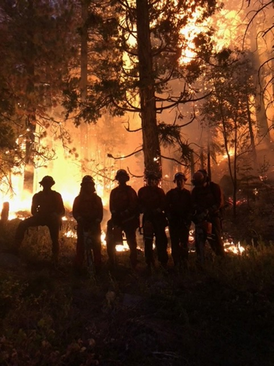Pine Grove firefighters are among those credited with help saving the Tahoe Basin from the ravages of the Caldor Fire. 