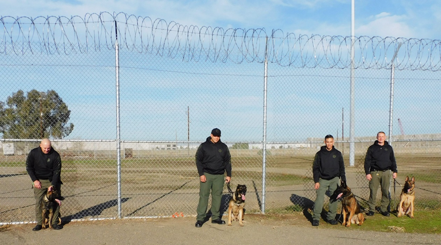 K-9 Daxx and his handler, YCC Nicolas Vavasseur second from left, completed the CDCR K-9 Academy in early November.