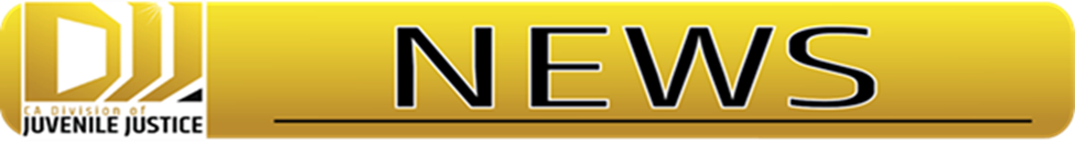 DJJ News Logo