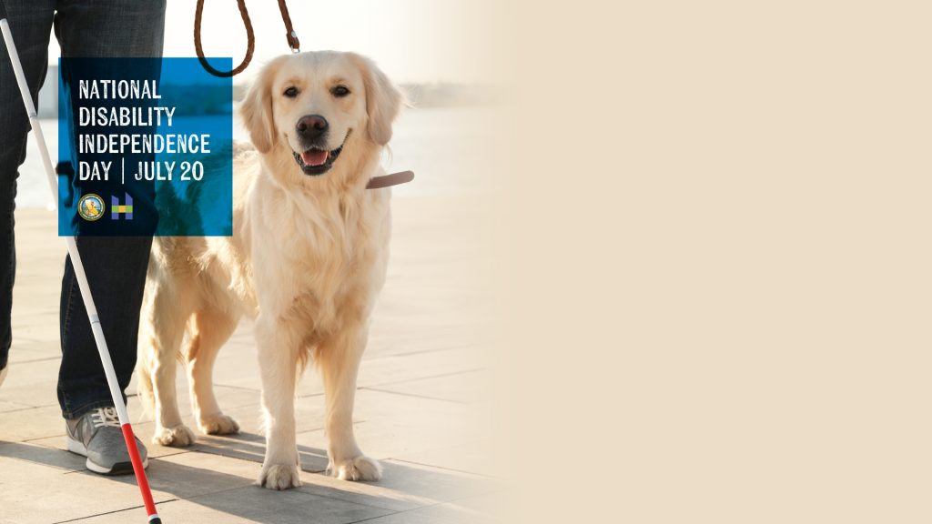 blind person with stick with a Golden Retriever for Disability independence day.