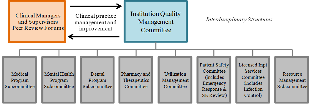 Clinical managers and supervisors  peer review forums and institution quality management committee are both intertwined with clinical practice management and improvement. The following committees are under the Instituion Quality Management Committee: Medical Program Subcommittee, Mental Health Program Subcommittee, Dental Program Subcommittee, Pharmacy and Therapeutics Committee, Utilization Management Committee, Patient Safety Committee (includes Emergency Response & SE Review), Licensed Inpatient Services Committee (includes Infection Control), and the Resource Management Committee.