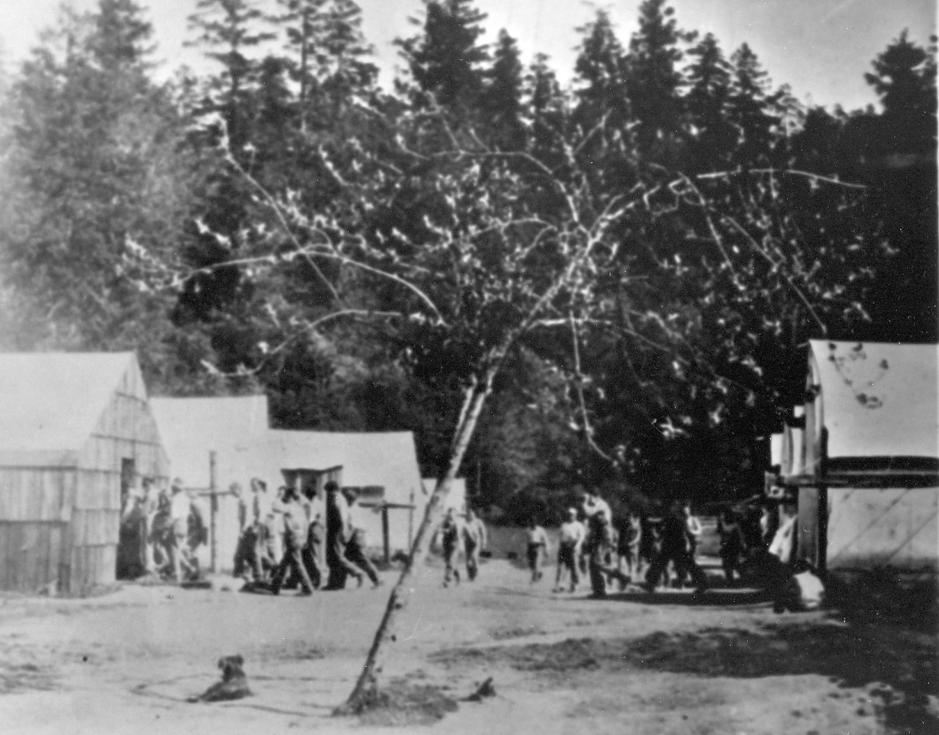 Highway camps paved way for Sierra Conservation Center Inside CDCR