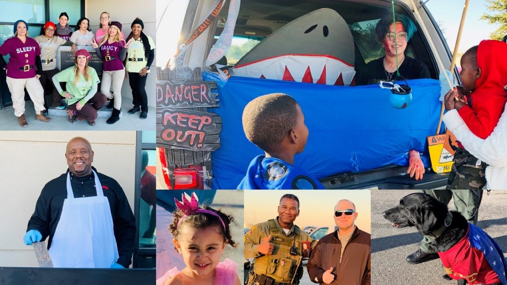 Collage of photos showing a cut-out of a shark in a vehicle trunk and various other people in costumes and regular clothing.