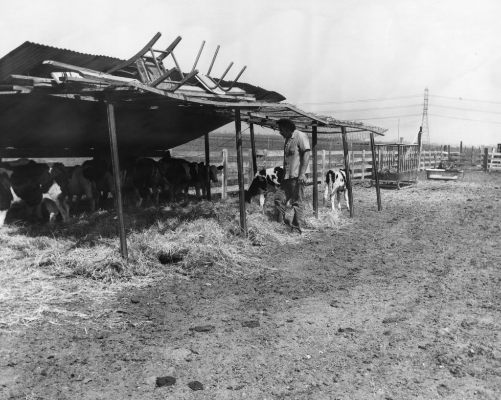 80 years ago, prison focused on agriculture such as farm animals.