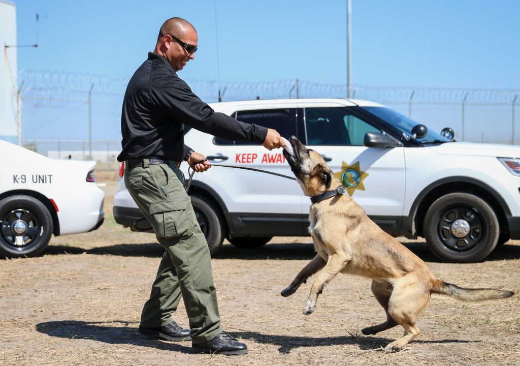 Correctional officer and a K-9 at a prison.