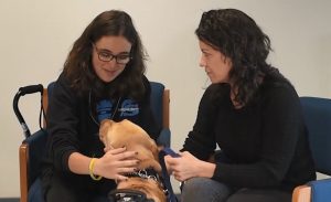 two female staff petting a dog