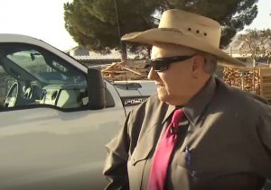 Woman wears cowboy hat, pink tie and sunglasses.