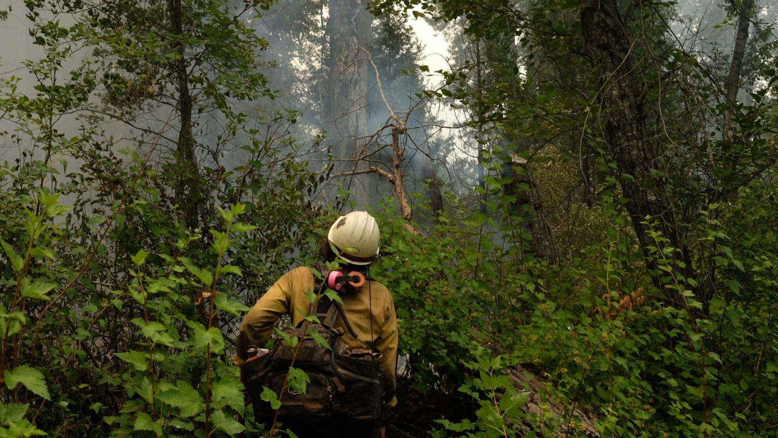 CDCR firefighters battle state's wildfires Inside CDCR