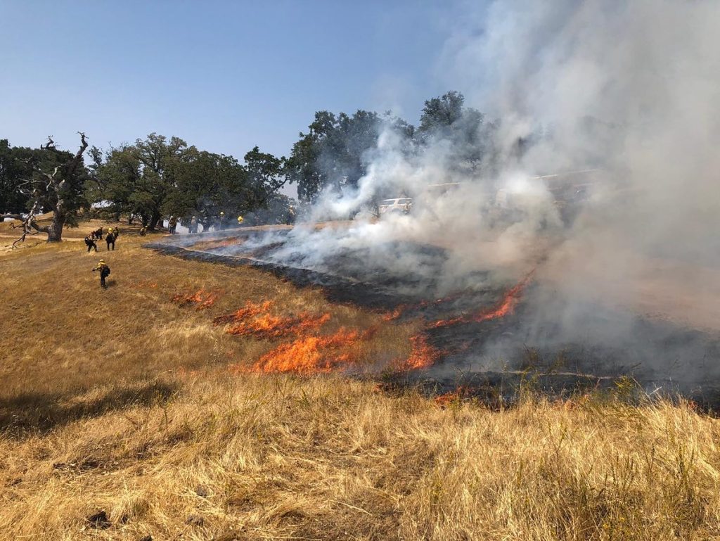 CDCR firefighters battle wildfires using controlled burns reduce fuel.