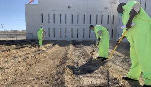 Three men work to restore desert habitat on a prison yard.