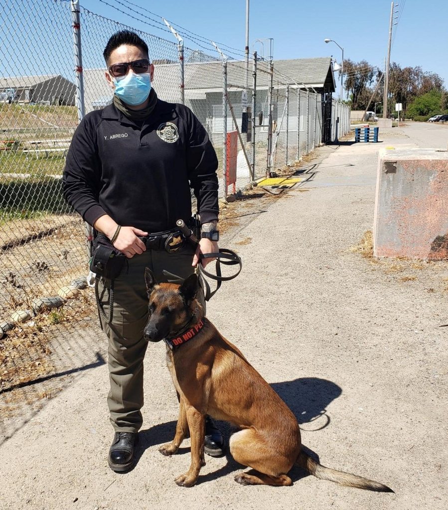 CDCR K-9 officer and dog.