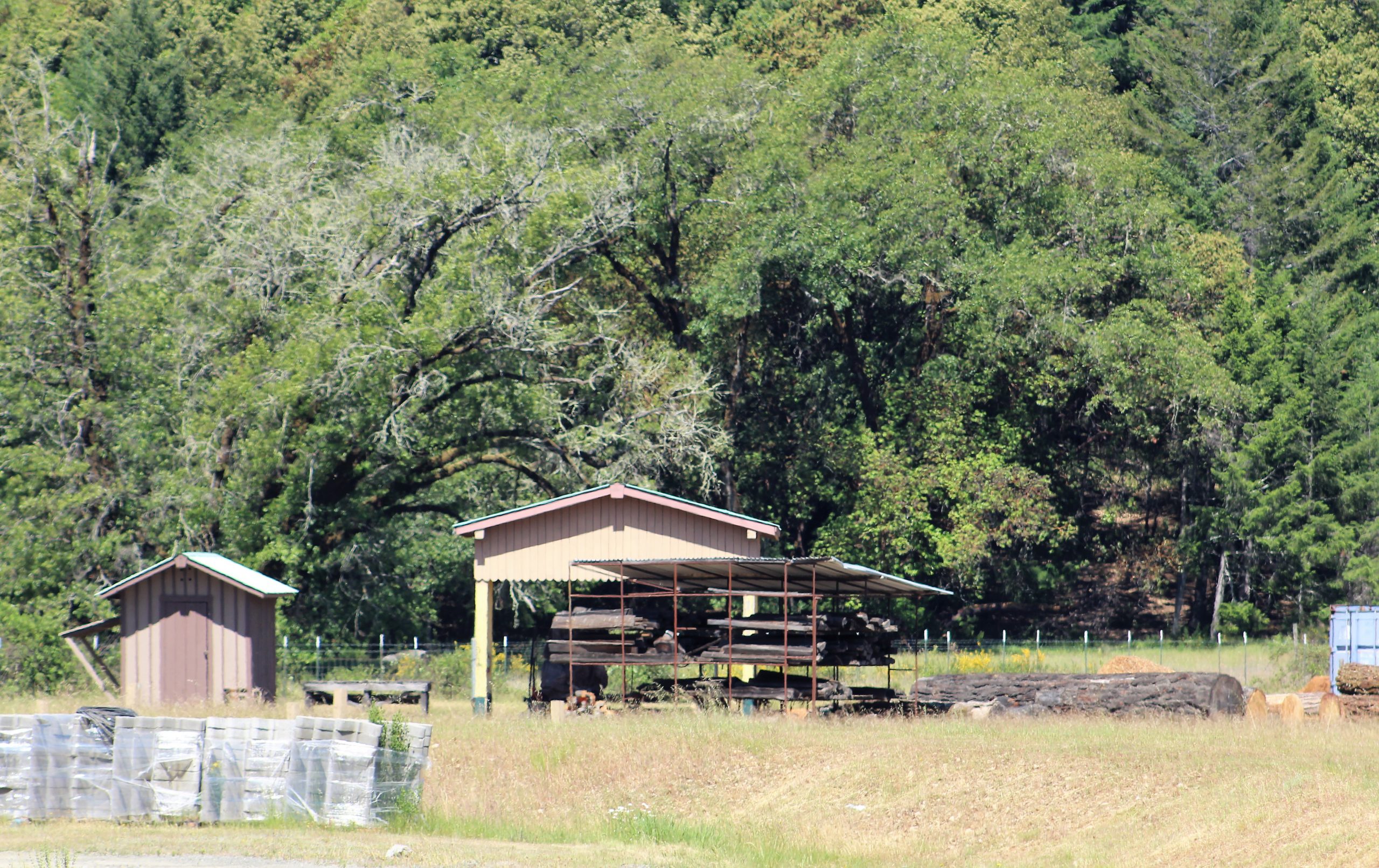 Take a closer look at life in a California conservation camp Inside CDCR