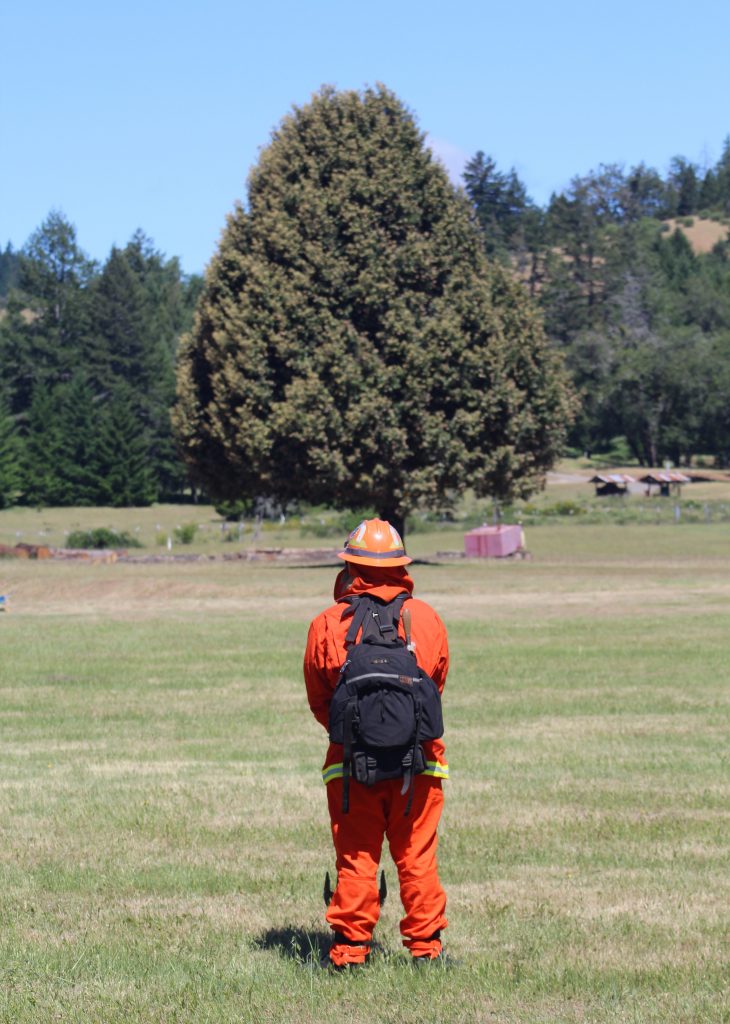 A firefighter stands in a field, his back to the camera.