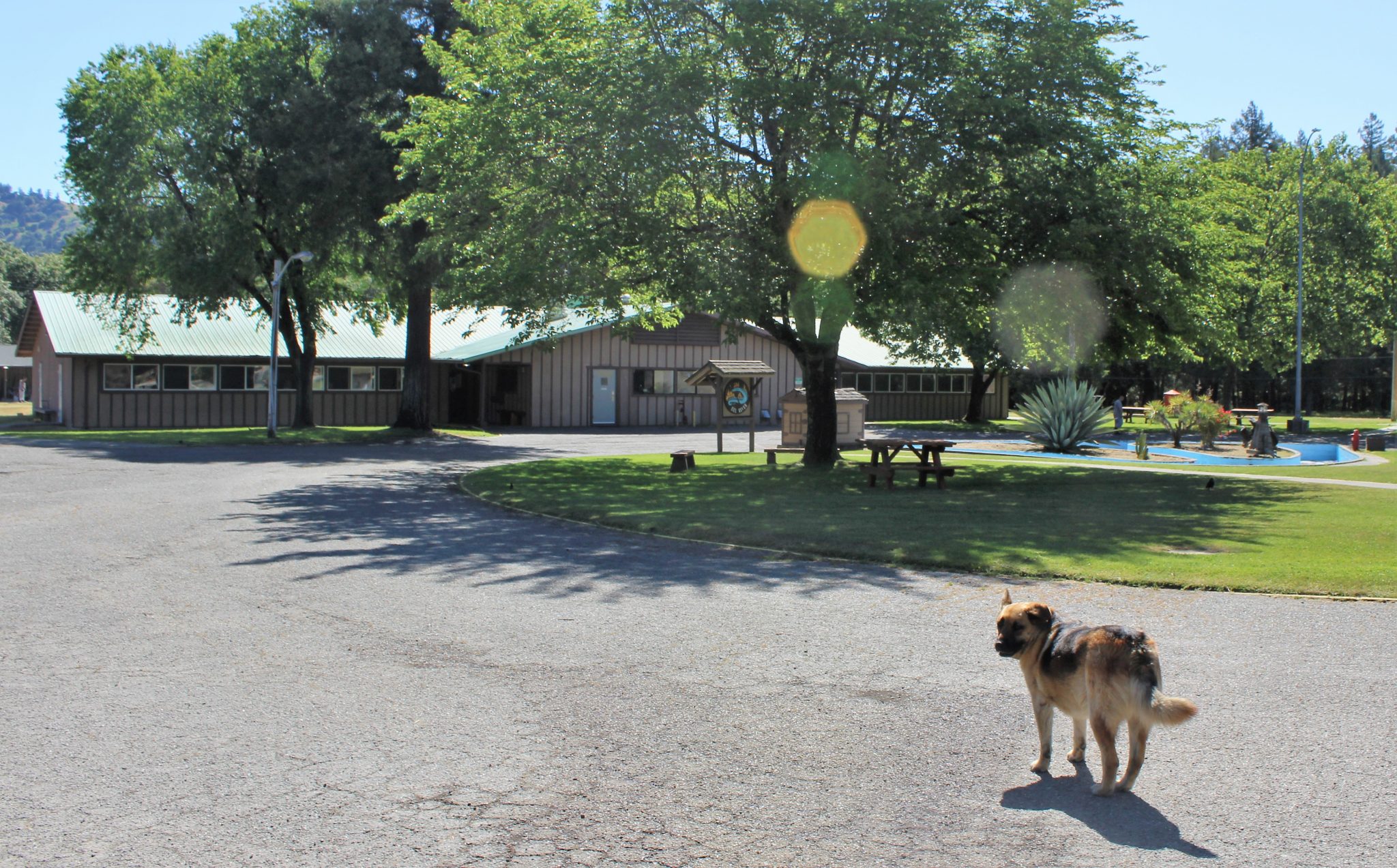 Take a closer look at life in a California conservation camp Inside CDCR