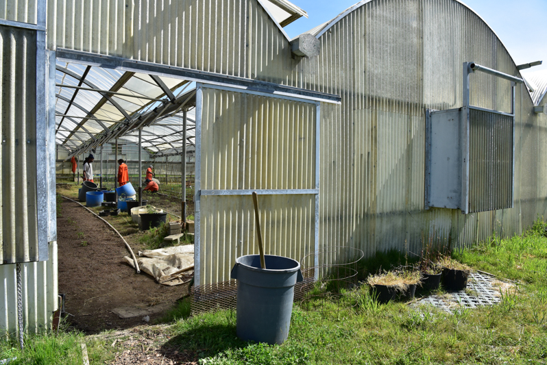 Greenhouse at Eel River Conservation Camp.
