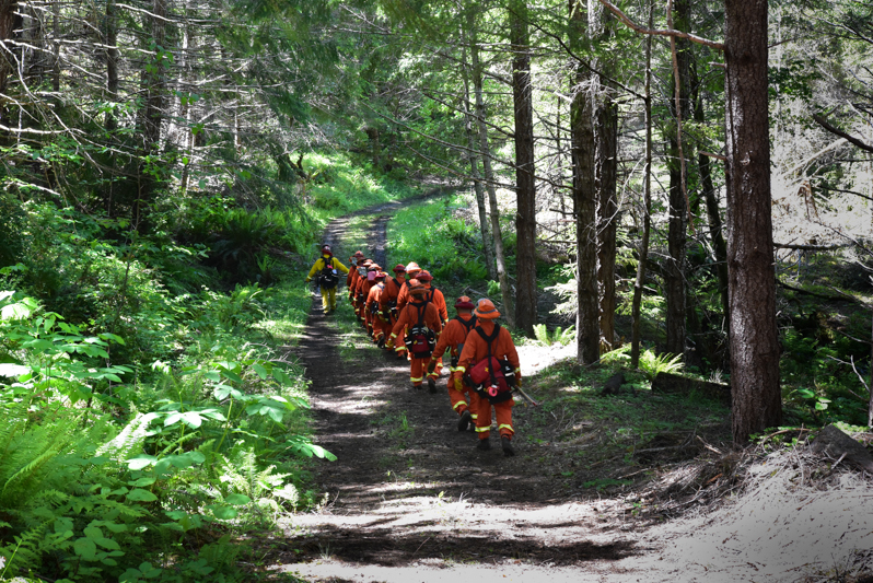 Incarcerated firefighters hike up a trail through a forest.