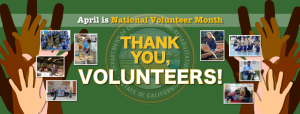 Volunteer Month banner