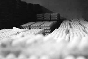 Eggs in stacks in a packing house, black-and-white.