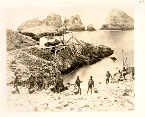 Men on shore of island ready to hunt for eggs.