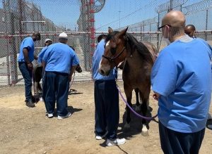 Five incarcerated people and two horses.