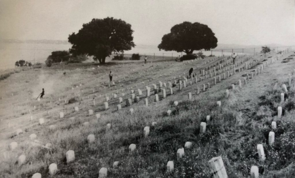 Incarcerated men care for the Folsom prison cemetery in 1955.
