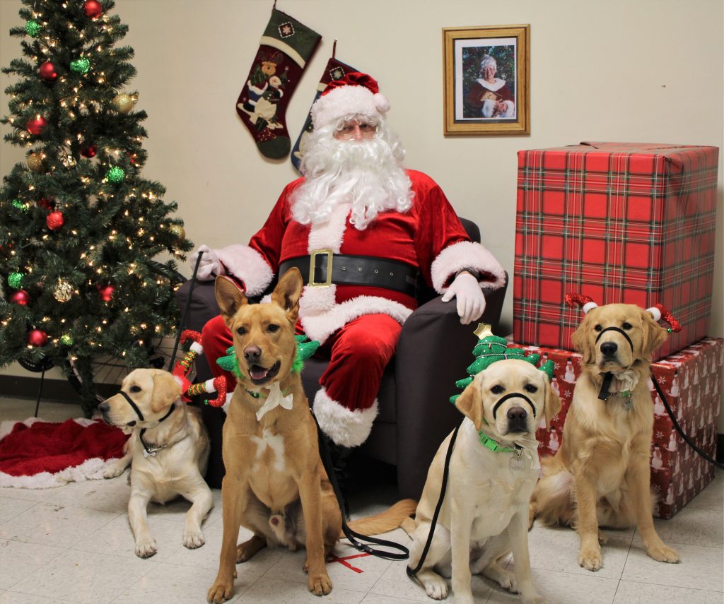 Solano prison Santa with four dogs.