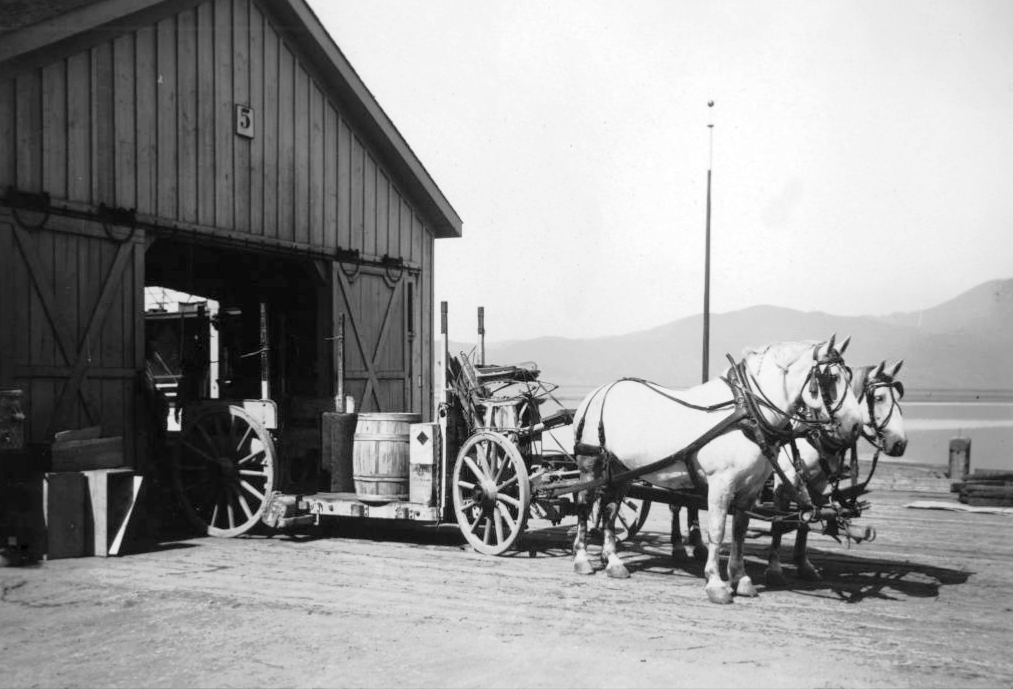 Horse team and wagon at a prison dock.