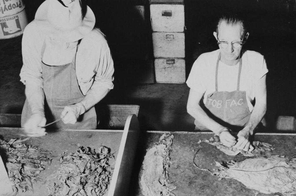 History photo shows two incarcerated men working in a tobacco factory 1966 at California Men's Colony.