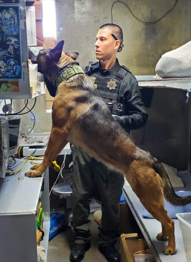 CEN K-9 team search for contraband in a prison cell.