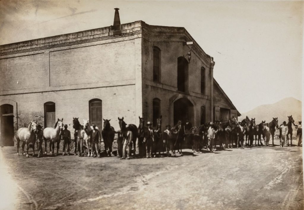 Horses and staff at San Quentin in the early 1900s.