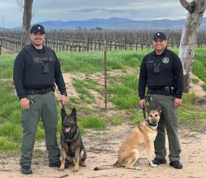 Salinas Valley State Prison (SVSP) K-9 Unit Officers and their dogs.