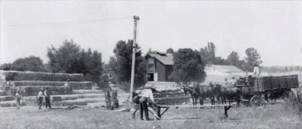 Folsom prison ranch with wagon and incarcerated workers.