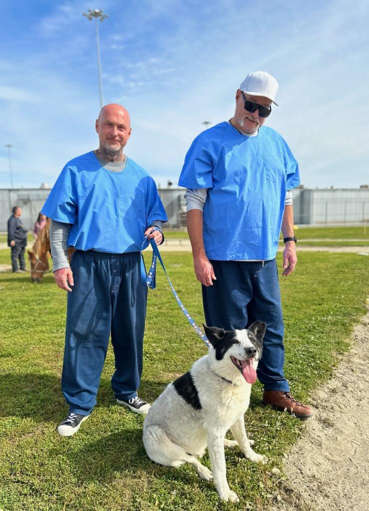 Two incarcerated men with a dog on a prison yard.