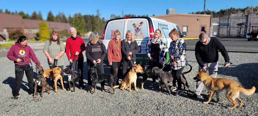 A large group of dogs and trainers