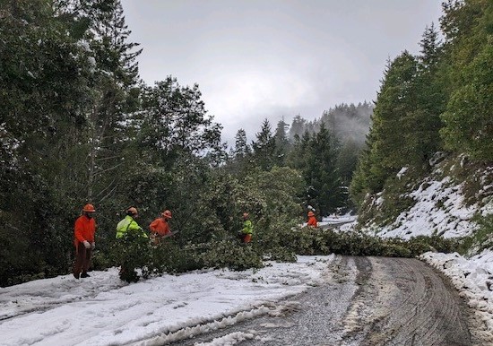 CDCR crew deals with snow and a fallen tree on a road.