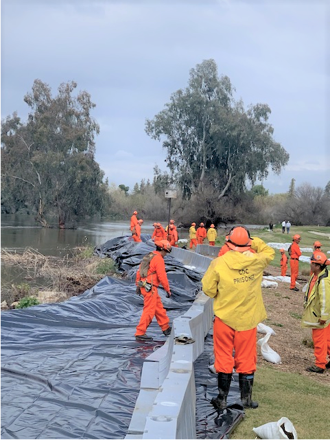 Many people in orange jumpsuits build a retaining wall near a large body of water. Some are wearing yellow jackets. Some people are walking on black tarp.