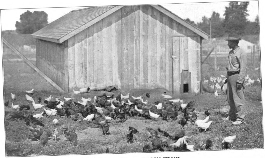 Folsom prison chicken ranch.