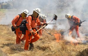 SCC hand crews training with the Los Angeles County Fire Department.