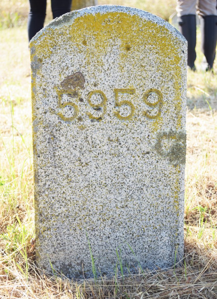 Gravestone with the numbers 5959 engraved on it.