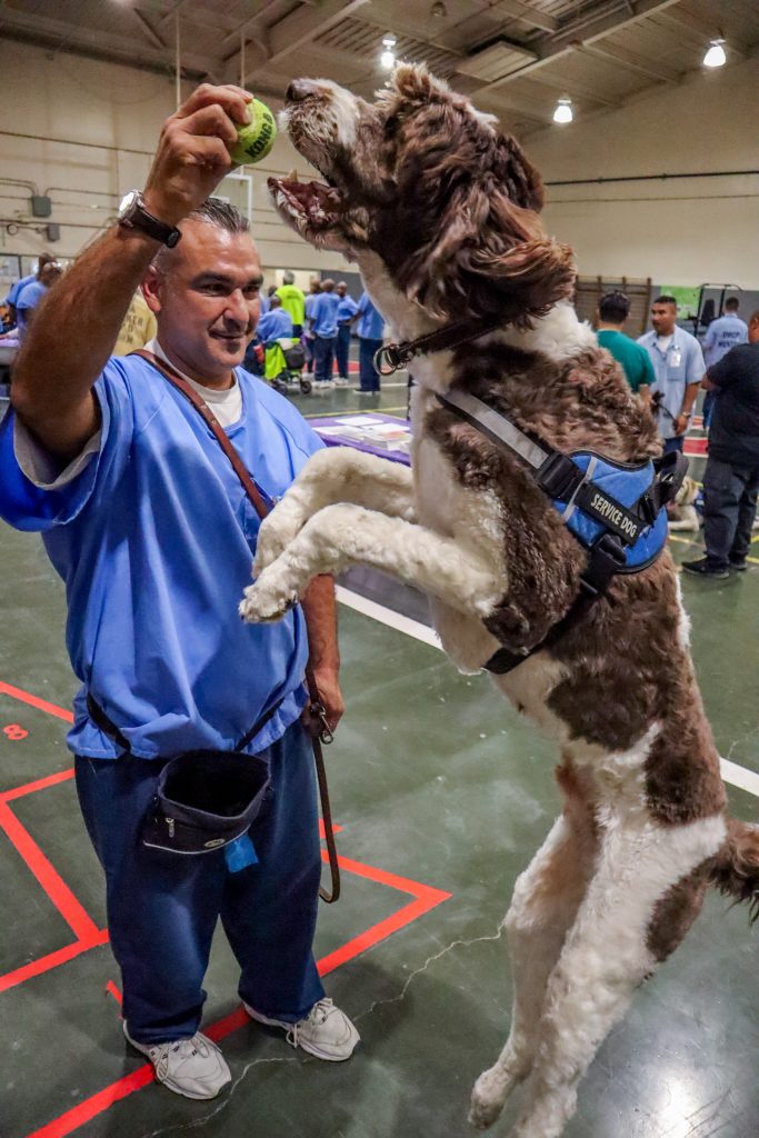 Incarcerated person and a dog at California Medical Facility.