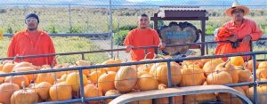 Antelope garden sign in the background with a trailer full of pumpkins and three incarcerated people posing with their harvest being donated to school kids.