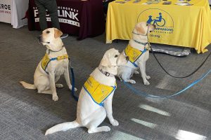 Three dogs wearing Canine Companions for Independence vests at an Our Promise campaign event.