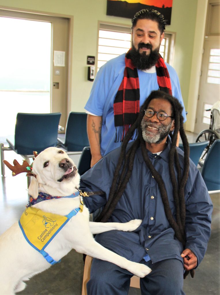 A Canine Companion dog receives pets from an incarcerated person who is sitting in a wheelchair. 