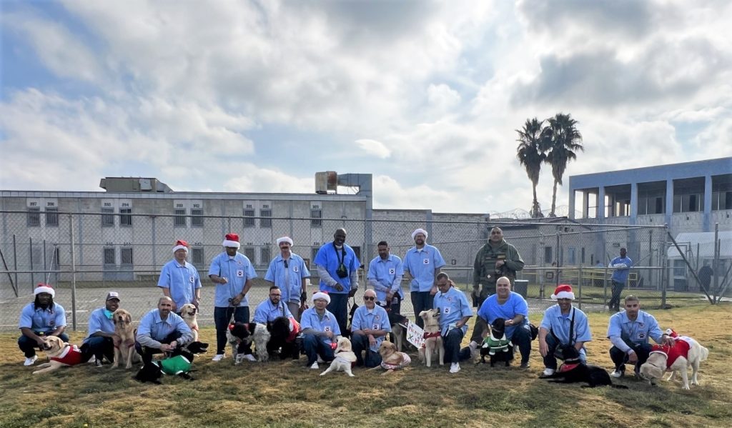 Incarcerated people at California Institution for Men with dogs they are training. Everyone is standing or sitting on the grass with prison buildings in the background.