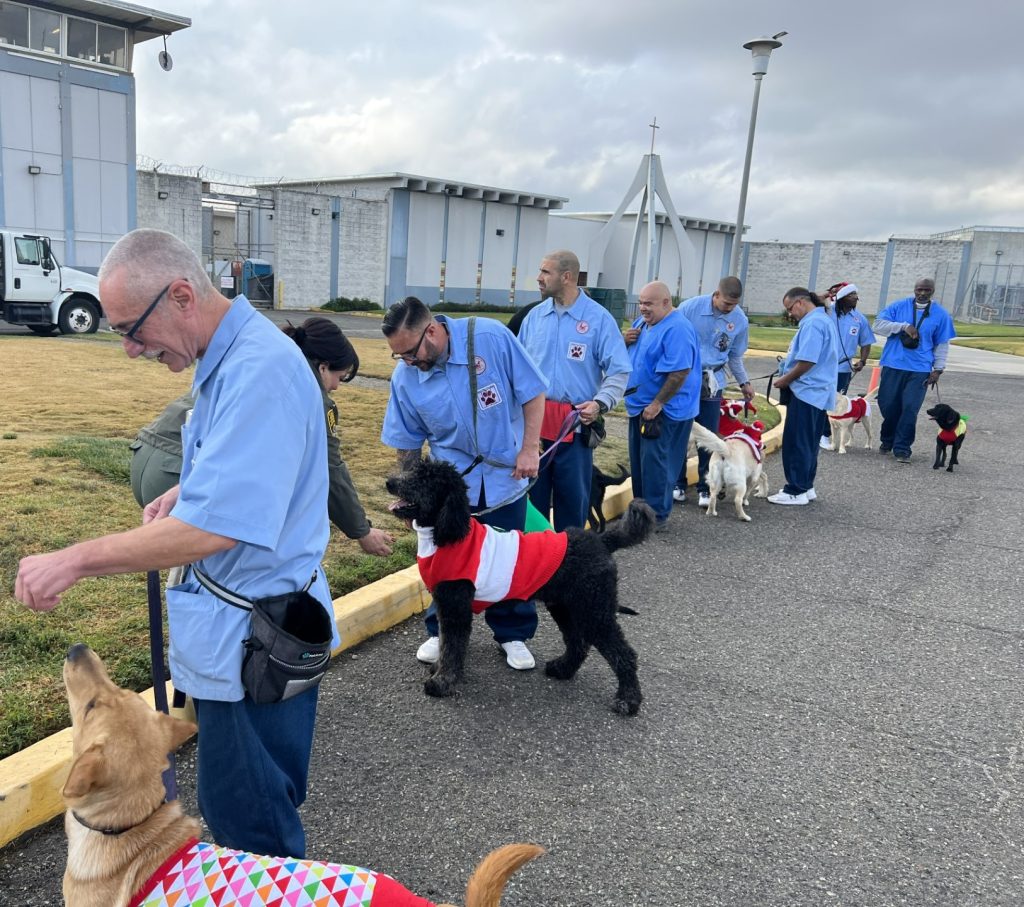 CIM 2nd annual Pawz Parade in the institution