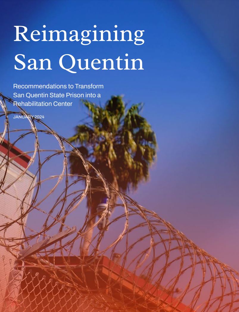 A palm tree pictured behind prison razor wire