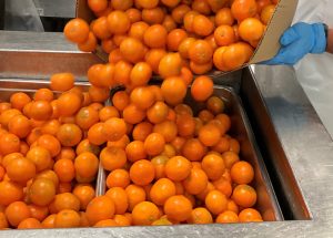 Harvest of the Month program at CDCR shows citrus fruit being unloaded in a prison.