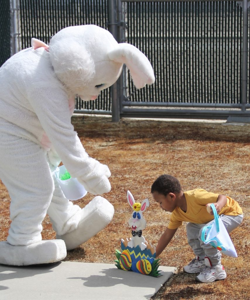 Egg hunt with child and Easter bunny.